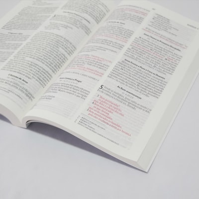 image_cb09a75d-790d-43dc-acb9-edb31675b081