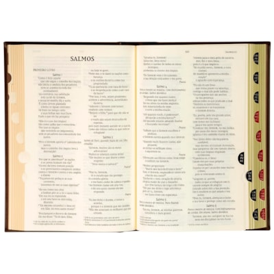 image_a4e05800-00db-4379-b455-e5705a9ec3fa