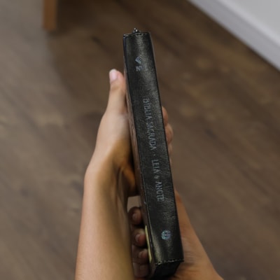 image_fcab434e-2d3e-417d-8a6b-11d82bfb2c6a