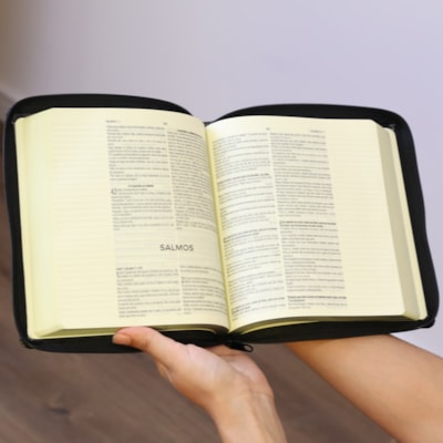 image_31114fcf-b546-4787-adea-adf3e95af345