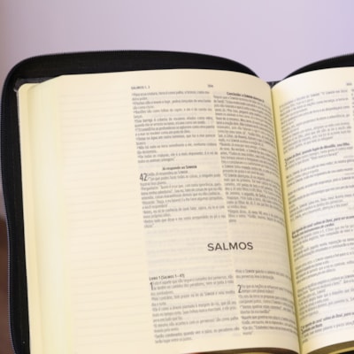 image_e0af123e-4e37-49aa-a9b3-2e2cf73b7018