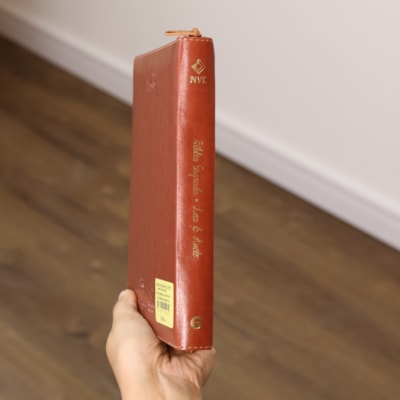 image_9817e0ba-2451-493b-81fc-7cb701af3add