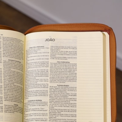 image_5d625e07-2850-4b3f-8145-5c2f470221c7