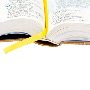 Bíblia O Livro da Esperança Lembre-se | NAA | Letra Normal | Capa Dura