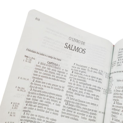 image_bcb345c7-0e89-4802-8c60-12f1b6390ee1