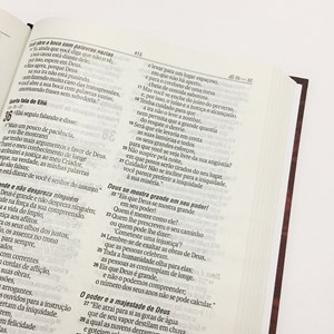 Bíblia Os Nomes de Jesus Leão | NAA | Letra Normal | Capa Dura Marrom