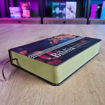 image_be0e0a55-093e-4d32-b038-d8e40085b9f0