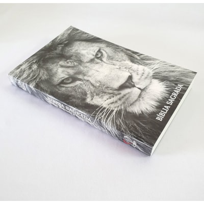 image_271fae58-5b0c-40ff-8a77-2c199599abca