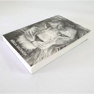 image_077e0233-582d-4f31-99f2-588b02556860