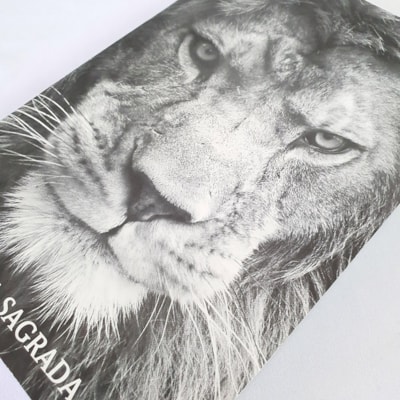 image_faae51b7-9e59-425f-ab5d-6c783750d7ab