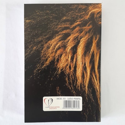 image_7112dbc8-b288-4b19-96c7-efd36c49368e