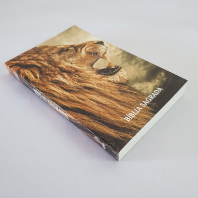 image_9425b9f5-283b-49db-971b-4fc06fe1895d