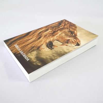 image_67802425-f743-49a6-ad63-fff8cce438a5