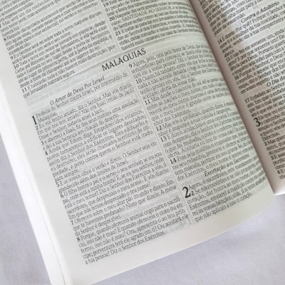 image_7127dd37-ccab-4ae4-bd60-bf7843eb6c4b