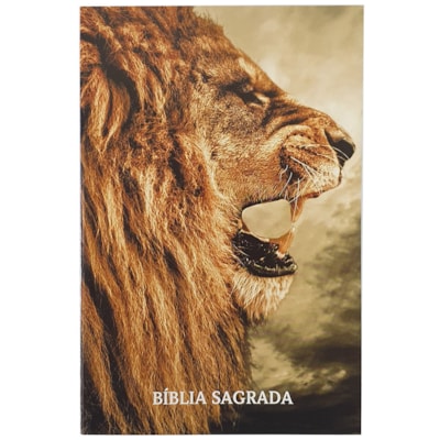 Imagem Principal - 9064d3cc-1fcd-40bb-b651-40ce45b9517b