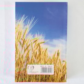 Segunda imagem do produto Bíblia para Evangelismo Trigo | ARC | Letra Normal | Brochura