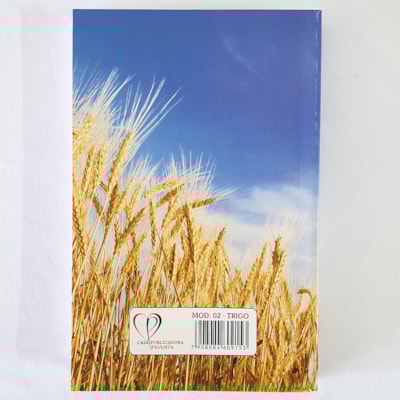 image_2976f1e8-f544-4d6a-9518-4b0e45262b1b