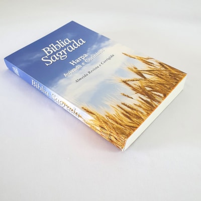 image_c2a6256b-c813-4973-ad79-f5d6cc4ea36b