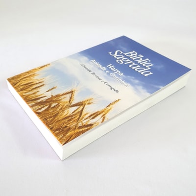 image_d8d36e57-7300-4a4c-b172-80441c1a5aa8