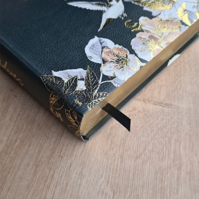 image_d1a77e49-64dc-4c48-93a4-57138bf1914e