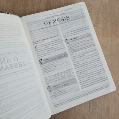 image_f508b133-5dcf-4862-b215-ed98c3eb4215