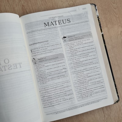 image_2ecdfeb2-e1f9-4f6a-be7f-ee36d901371b