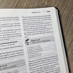 Bíblia Para Pregadores e Líderes Geziel Gomes arc Capa L em Promoção na  Americanas