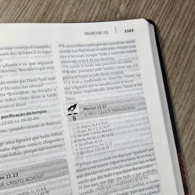 image_911e9dc8-4979-405d-8091-206779487dd9