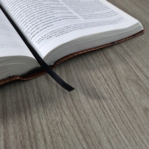 Bíblia Para Pregadores e Líderes Geziel Gomes | ARC | Capa Luxo Marrom
