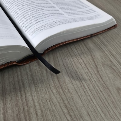 image_4824df84-1493-46e7-823a-ddf86d3b6b5c