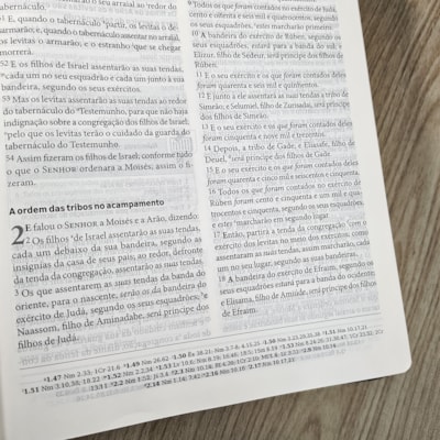 image_bee62fbb-9cc5-4d68-ad4e-9f716a936585