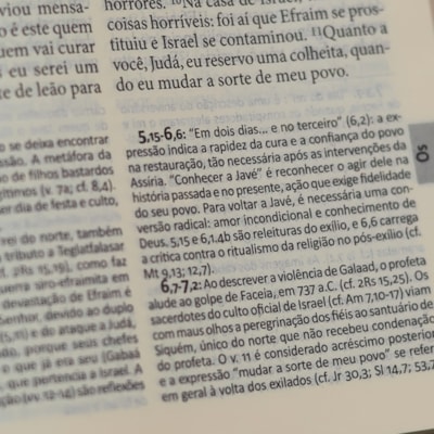 image_bf530e45-9b4c-461b-907a-d4a17d4df0c4