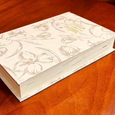 image_1dd68061-61d3-40e5-8659-31101355863e