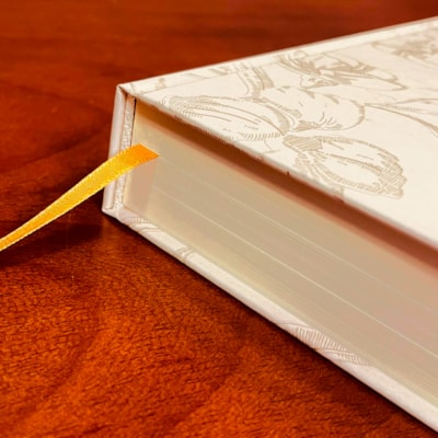 image_b983e781-b897-4034-a7f3-dd68b6da27b7