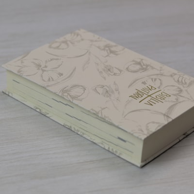 image_95b328df-fa48-4a7d-a65b-e82100fed8bc