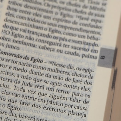 image_19e1a6e8-176a-4bf4-9e8c-a2f9f71b8eb3