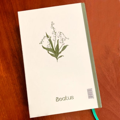 image_9faf04ee-628e-45bc-972b-9adf1c6d6cb6