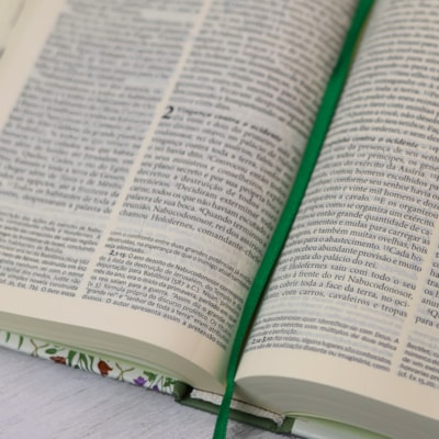 image_21ab3505-68ef-45b2-832b-258605d9a70a