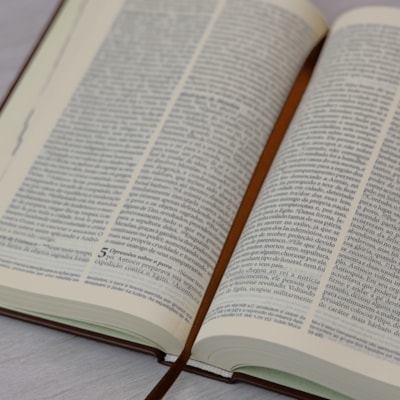 image_8d8895d6-c54b-4708-9ef7-800c5af69208