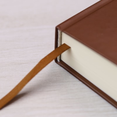 image_033596d9-c68d-4b09-8e01-c79295a91c9b