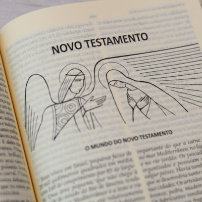 image_239025b0-009b-4bca-8cd3-6da14d6990ea