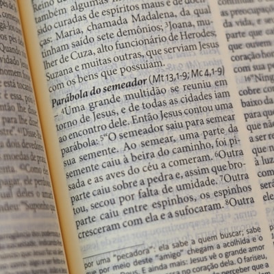 image_d8145f72-e326-4506-8f9a-1f1f0bbd01f4