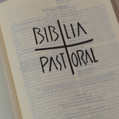 image_8499cff3-ca58-4268-bac0-88a6e1fffb22