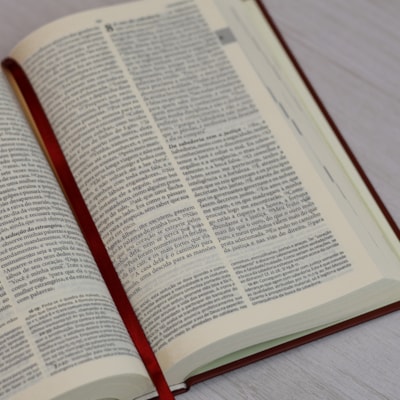 image_ce592ad6-be99-4135-8a4b-a17a9988741d