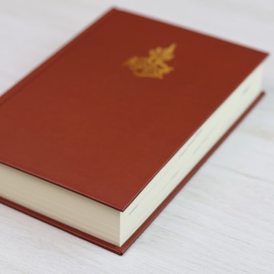 image_cf48b101-ec68-4a55-b67f-a7bca04f1d33