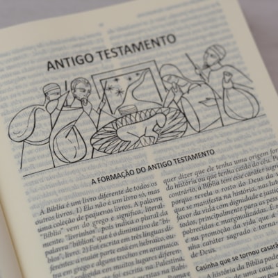 image_3735b9e4-8213-4e95-b8a7-d291902720b5