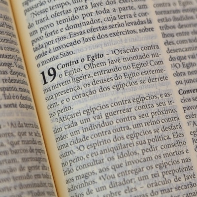 image_15ddb655-fe92-4753-bcf6-4f1061e4552e