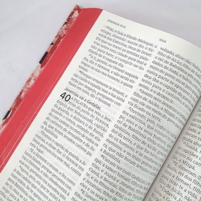 image_5643e166-b81b-42d5-8faf-9e945f27b33b