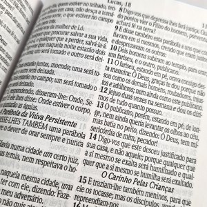 Bíblia Pequenos Discípulos | ARC | Letra grande | Capa Dura Masculina
