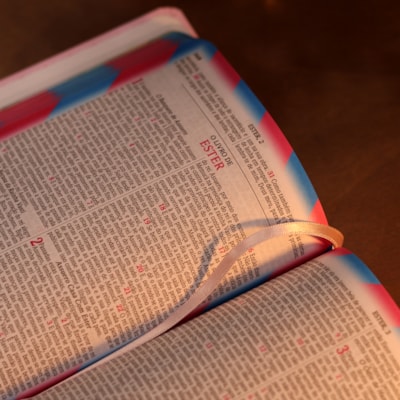 image_330284ae-bd60-4091-8b6c-f9222186af22